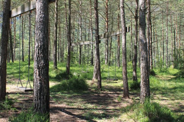 altalene nel bosco.JPG