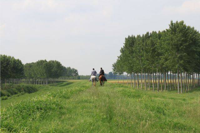 oggi è un giorno di festa_1