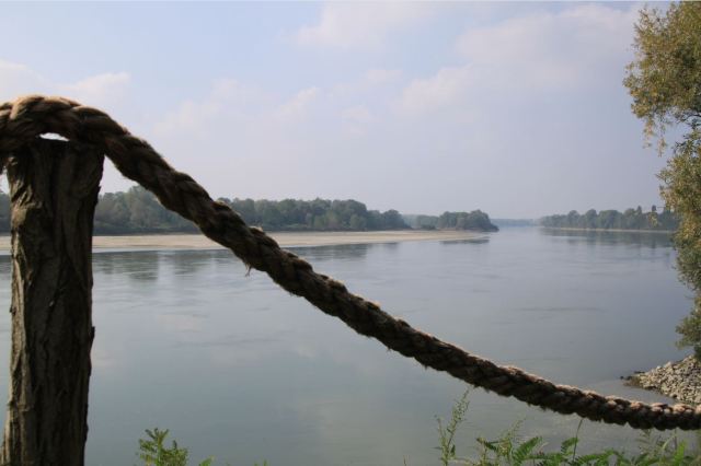 oggi è un giorno di festa_2